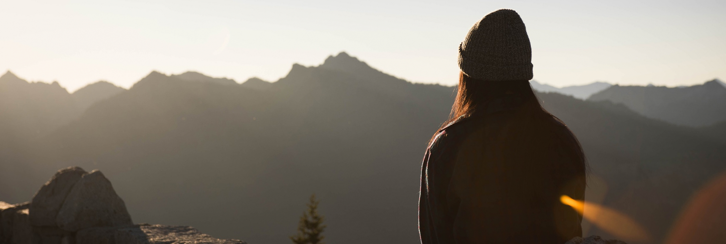Life of Wellness Institute – Awaken Your Inner Strength and Resilience Life of Wellness Institute - Awaken Your Inner Strength and Resilience