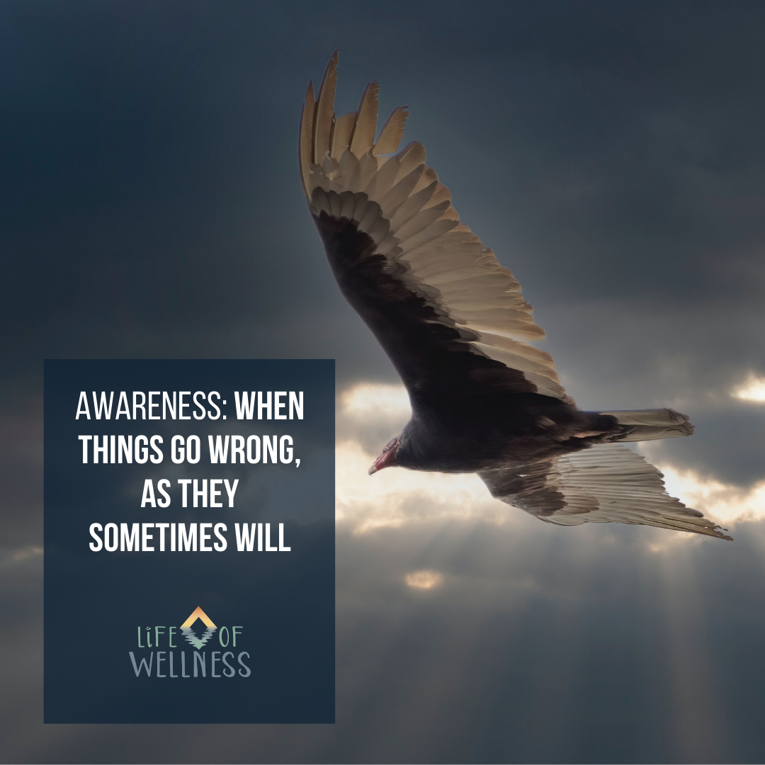 Awareness: When things go wrong as they sometimes will