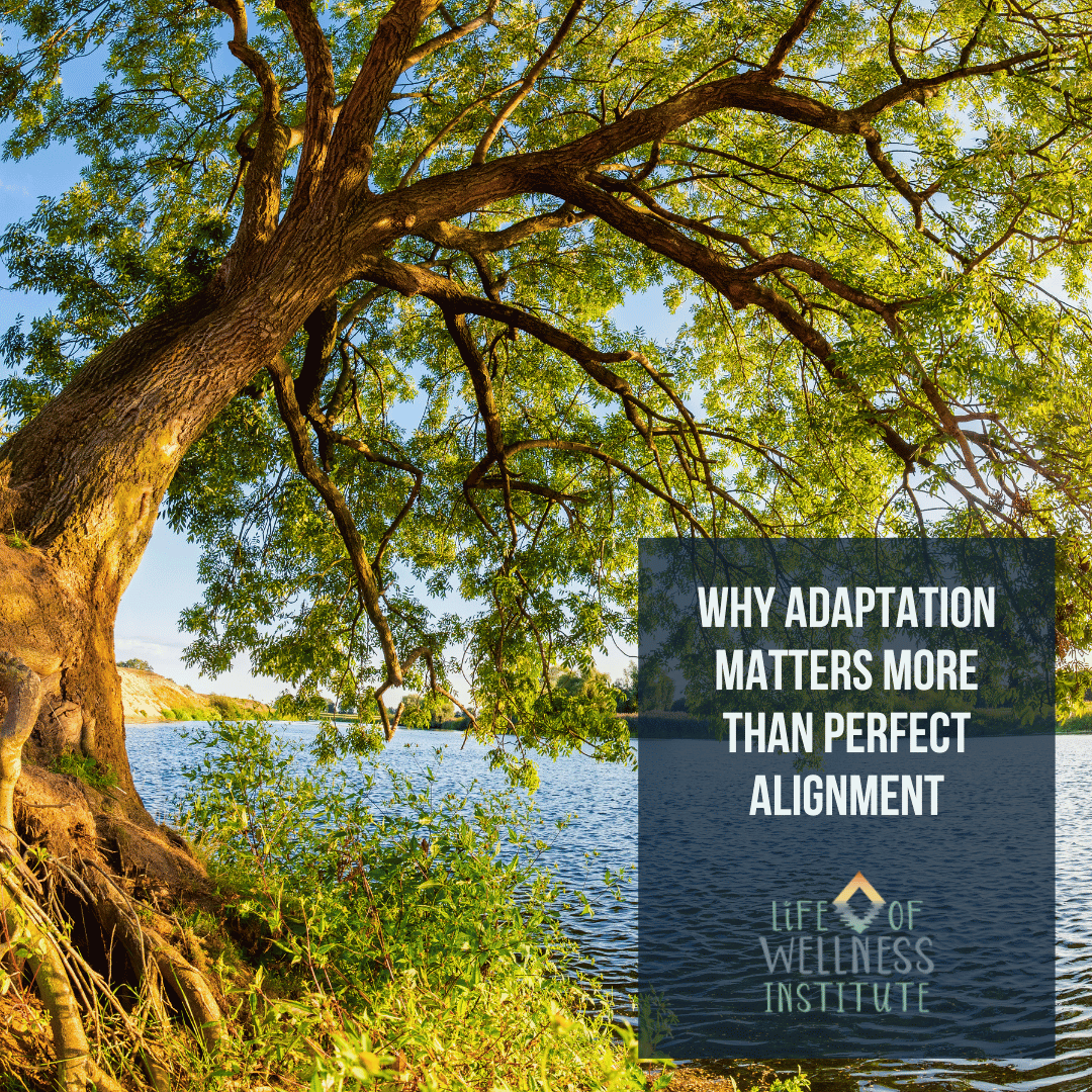 Why Adaptation in Yoga Matters More Than Perfect Alignment
