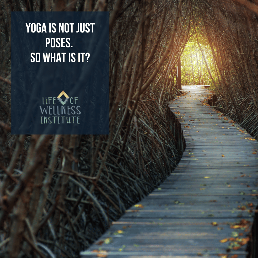 Yoga is not just poses. So what is it?