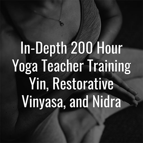 200 Hour Vini Yoga Teacher Training