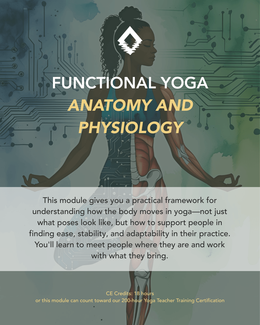 Functional Yoga Anatomy and Physiology. Anatomy isn't about memorizing muscles. It's about understanding how the body moves. A 200-hour yoga teacher training module from The Life of Wellness Institute. Live virtual, trauma-informed, and grounded in neuroscience and Ayurveda.