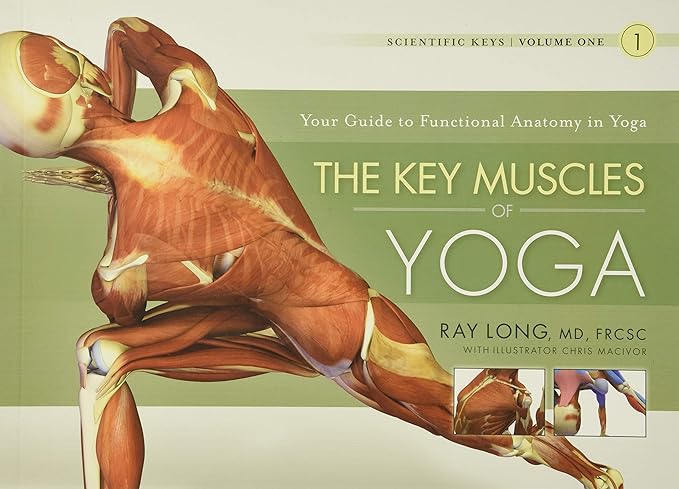 Book Cover: The Key Muscles of Yoga- Scientific Keys Volume I