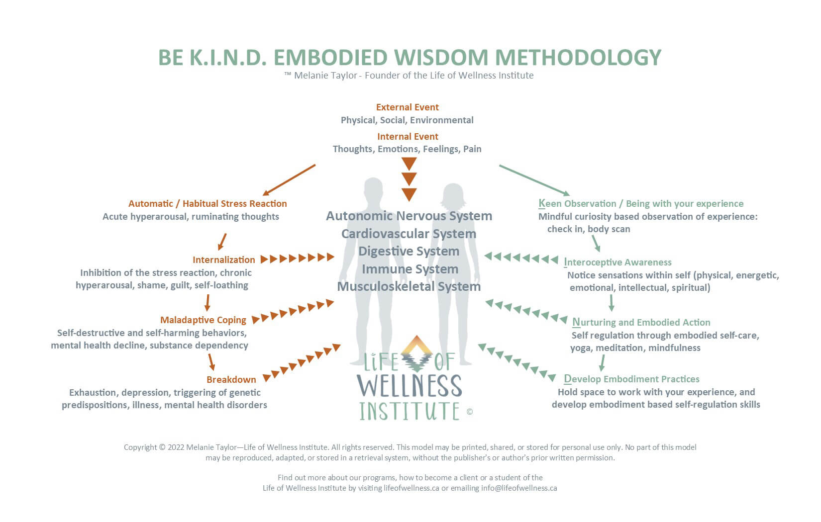 The Life of Wellness Institute - BE K.I.N.D. Embodied Wisdom Methodology visual model